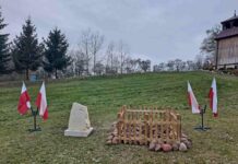 Poświęcenie Dębu Tysiąclecia Królestwa Polskiego w Janikowie